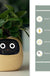 Facial Expression Control Intelligent Flower Pot