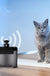 Cat Wireless Intelligent Water Circulation Water Dispenser