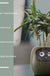 Facial Expression Control Intelligent Flower Pot