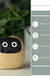 Facial Expression Control Intelligent Flower Pot