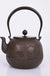 Cast Iron Embroidered Teapot Boiling Water