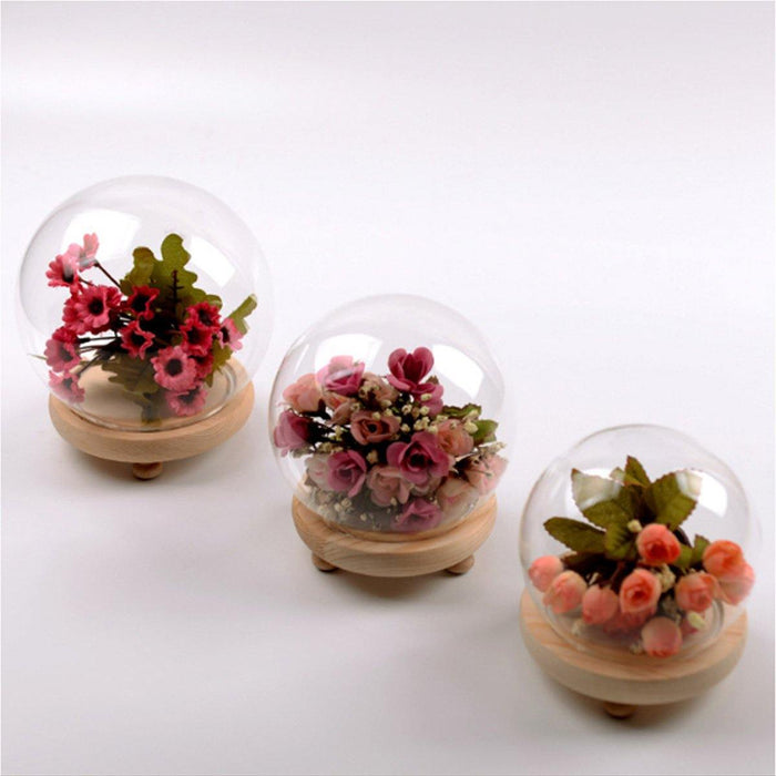 Round Decorative Transparent Glass Dome with Wooden Base Cloche Bell Jar