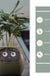 Facial Expression Control Intelligent Flower Pot