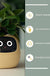 Facial Expression Control Intelligent Flower Pot