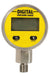 Digital Display Oil Pressure Hydraulic Gauge Pressure Test Meter 250BAR/25Mpa