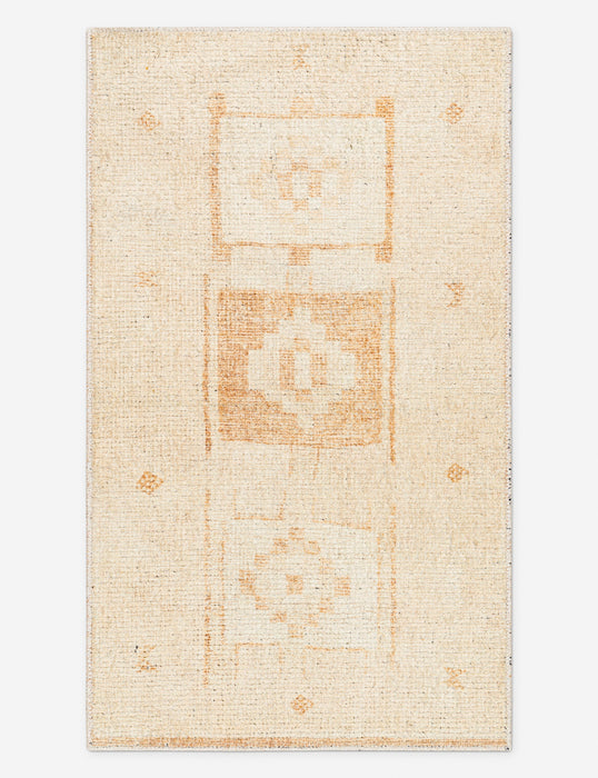 Solana I Rug by Becki Owens x Surya