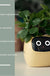 Facial Expression Control Intelligent Flower Pot