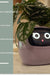 Facial Expression Control Intelligent Flower Pot