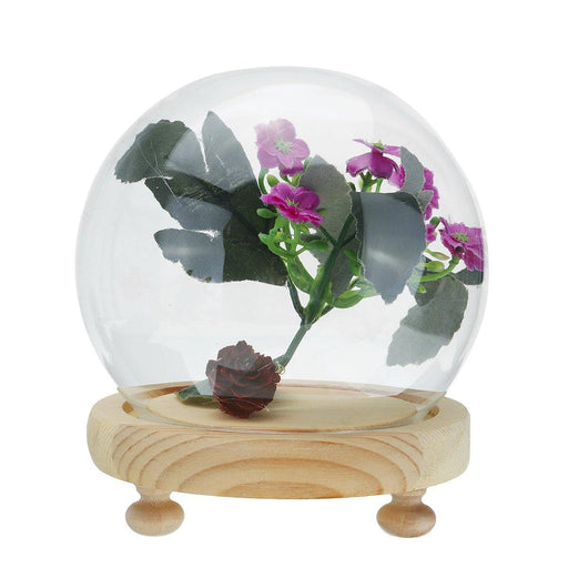 Round Decorative Transparent Glass Dome with Wooden Base Cloche Bell Jar