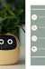 Facial Expression Control Intelligent Flower Pot