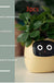 Facial Expression Control Intelligent Flower Pot