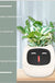 Facial Expression Control Intelligent Flower Pot