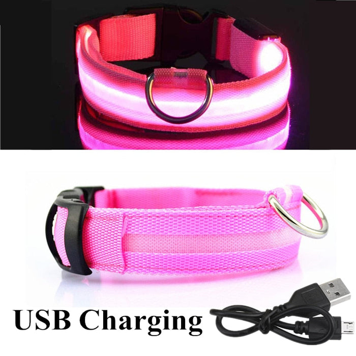 LED Dog Collar - Okeihouse