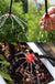 5-25M Water Hose Plants Garden Auto Drip Irrigation System Watering Micro Drip Kit