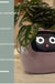 Facial Expression Control Intelligent Flower Pot