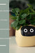 Facial Expression Control Intelligent Flower Pot