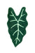 Feblilac Green Leaf Mat