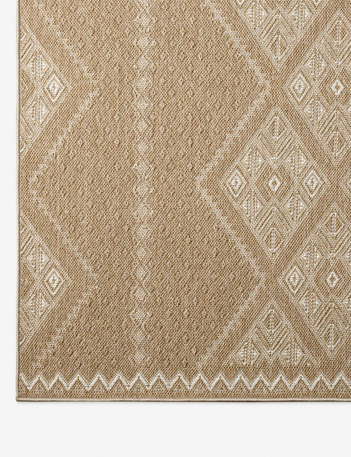 Mesny Indoor / Outdoor Rug