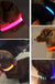 LED Dog Collar - Okeihouse