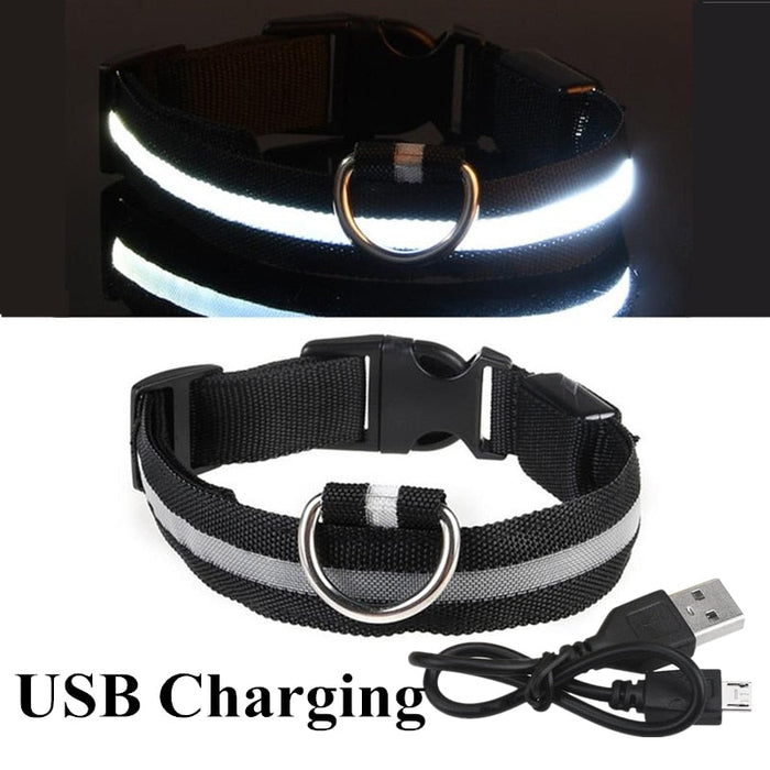 LED Dog Collar - Okeihouse