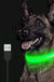 LED Dog Collar - Okeihouse