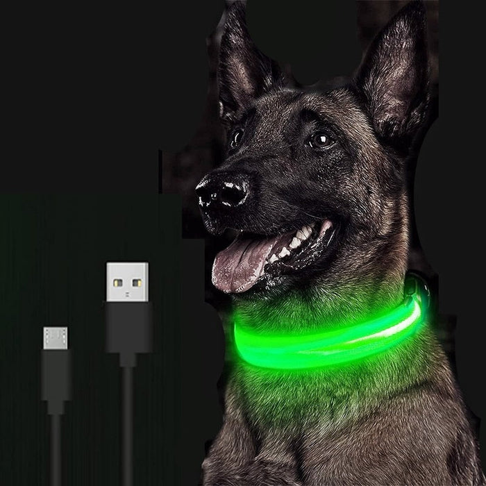 LED Dog Collar - Okeihouse