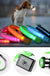 LED Dog Collar - Okeihouse