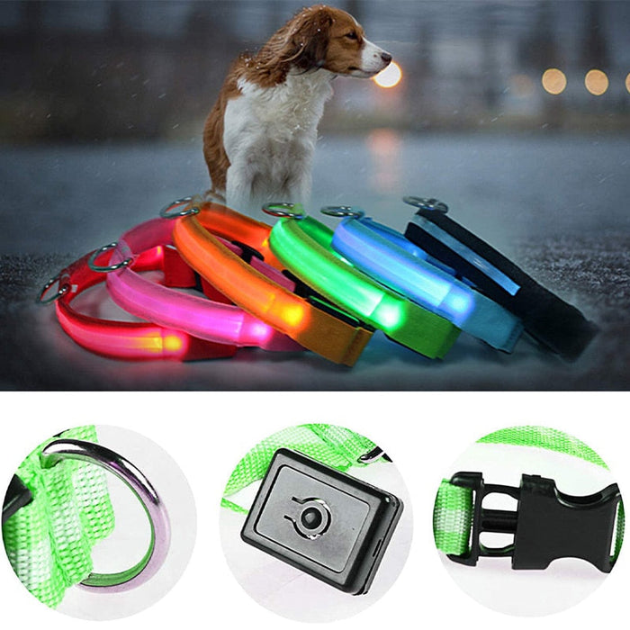 LED Dog Collar - Okeihouse