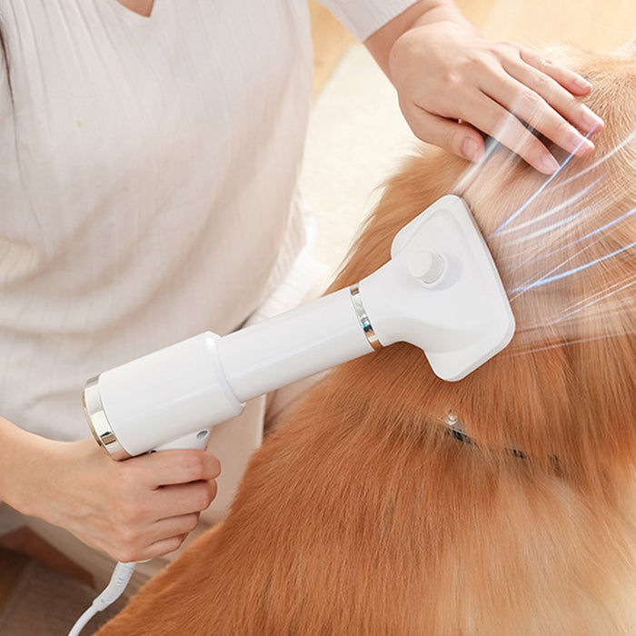 Portable 2-in-1 Dog Hair Dryer - Okeihouse